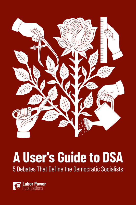 E-Book - A User's Guide to DSA: 5 Debates That Define the Democratic Socialists